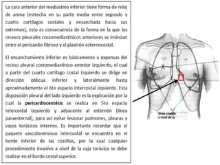 Anatomía del Mediastino (Posterior)