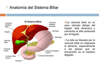 La vesícula biliar es un
saco ubicado debajo del
hígado. ésta almacena y
concentra la bilis producida
por el hígado.
La bilis es liberada por la
vesícula biliar en respuesta
al alimento, especialmente
a las grasas que se
encuentran en el intestino
delgado.
 Anatomía del Sistema Biliar
 