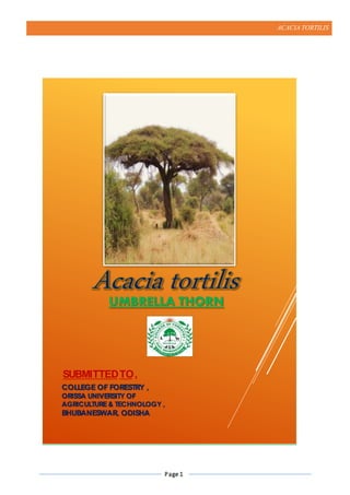 ACACIA TORTILIS
Page 1
UMBRELLA THORN
COLLEGE OF FORESTRY ,
ORISSA UNIVERSITY OF
AGRICULTURE& TECHNOLOGY ,
BHUBANESWAR, ODISHA
SUBMITTEDTO,
 