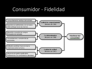 Consumidor - Fidelidad
 