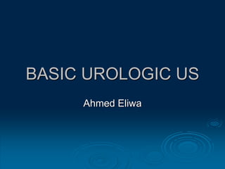 BASIC UROLOGIC US
Ahmed Eliwa
 