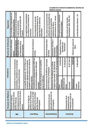 PROYECTO INTEGRADOR PARTE I 7
CUADRO Nº2-IMPACTOAMBIENTAL MATRIZ DE
MARCO LOGICO
 