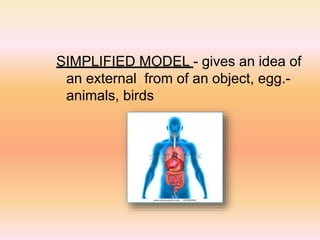 SIMPLIFIED MODEL - gives an idea of
an external from of an object, egg.-
animals, birds
 
