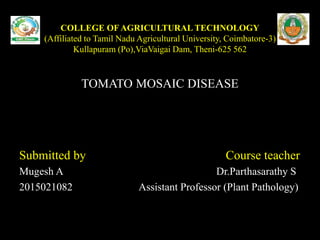 COLLEGE OF AGRICULTURAL TECHNOLOGY
(Affiliated to Tamil Nadu Agricultural University, Coimbatore-3)
Kullapuram (Po),ViaVaigai Dam, Theni-625 562
TOMATO MOSAIC DISEASE
Submitted by Course teacher
Mugesh A Dr.Parthasarathy S
2015021082 Assistant Professor (Plant Pathology)
 