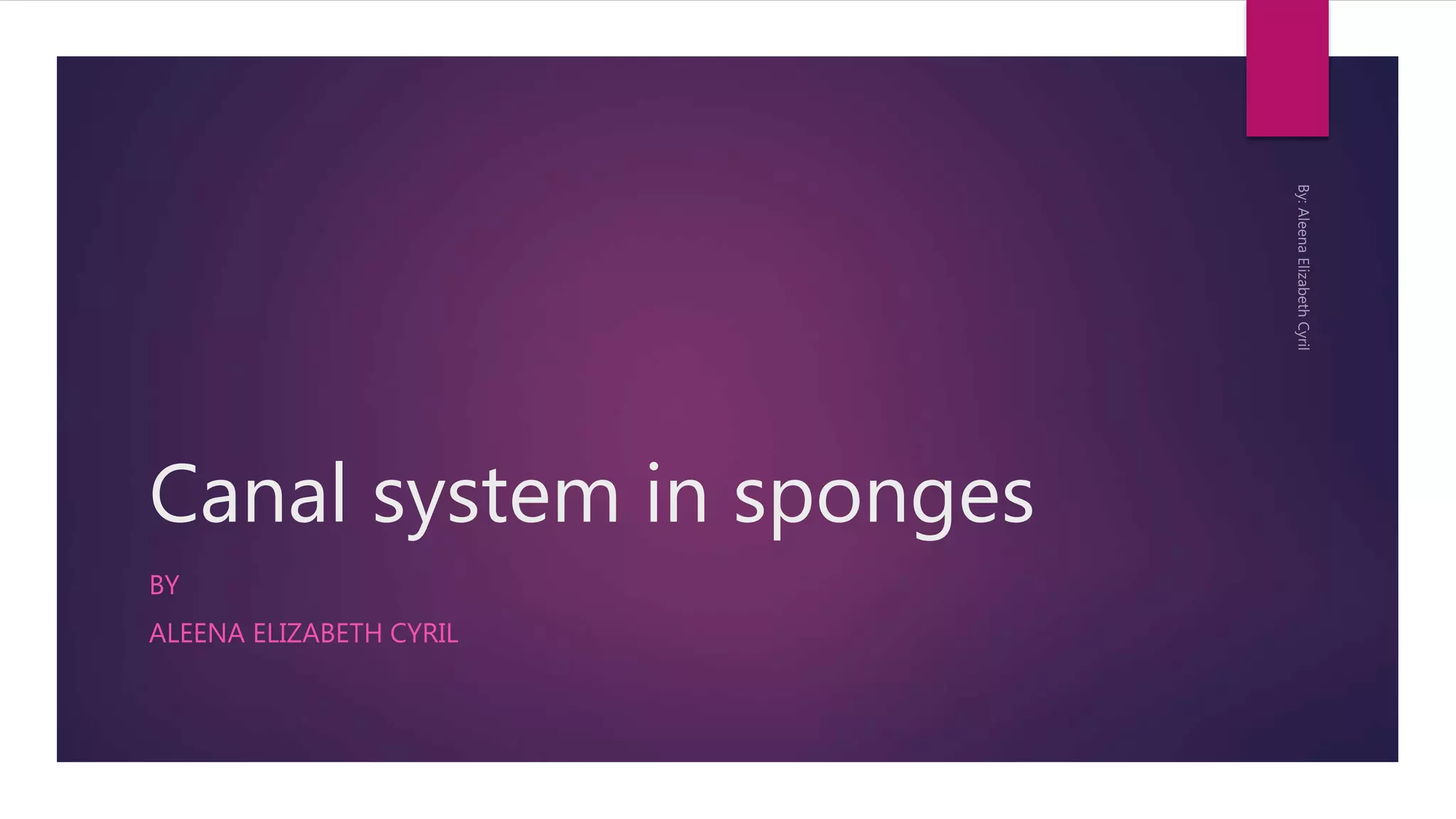 Canal system in sponges Phylum Porifera PPT