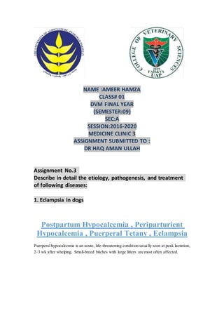 NAME :AMEER HAMZA
CLASS# 01
DVM FINAL YEAR
(SEMESTER:09)
SEC:A
SESSION:2016-2020
MEDICINE CLINIC 3
ASSIGNMENT SUBMITTED TO :
DR HAQ AMAN ULLAH
Assignment No.3
Describe in detail the etiology, pathogenesis, and treatment
of following diseases:
1. Eclampsia in dogs
Postpartum Hypocalcemia , Periparturient
Hypocalcemia , Puerperal Tetany , Eclampsia
Puerperal hypocalcemia is an acute, life-threatening condition usually seen at peak lactation,
2–3 wk after whelping. Small-breed bitches with large litters are most often affected.
 
