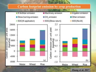 Zhang et al. 2017
Carbon footprint emission by crop production
 