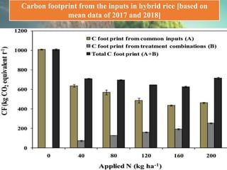 Carbon footprint from the inputs in hybrid rice [based on
mean data of 2017 and 2018]
 