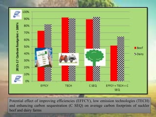 Potential effect of improving efficiencies (EFFCY), low emission technologies (TECH)
and enhancing carbon sequestration (C SEQ) on average carbon footprints of suckler
beef and dairy farms
 
