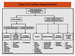 Types of Carbon Sequestration
 