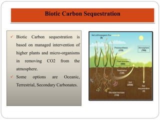 Biotic Carbon Sequestration
 Biotic Carbon sequestration is
based on managed intervention of
higher plants and micro-organisms
in removing CO2 from the
atmosphere.
 Some options are Oceanic,
Terrestrial, Secondary Carbonates.
 