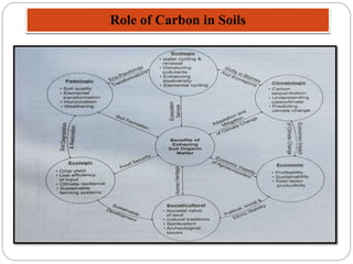 Role of Carbon in Soils
 