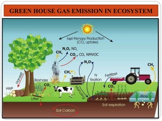 GREEN HOUSE GAS EMISSION IN ECOSYSTEM
 