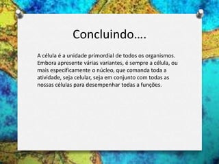Concluindo….
A célula é a unidade primordial de todos os organismos.
Embora apresente várias variantes, é sempre a célula, ou
mais especificamente o núcleo, que comanda toda a
atividade, seja celular, seja em conjunto com todas as
nossas células para desempenhar todas a funções.
 
