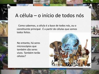 A célula – o início de todos nós
Como sabemos, a célula é a base de todos nós, ou o
constituinte principal. É a partir de células que somos
todos feitos.
No entanto, há seres
microscópios que
também são seres
vivos. Também terão
células?
 