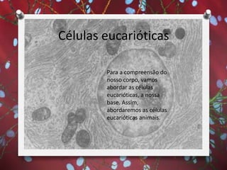 Células eucarióticas
Para a compreensão do
nosso corpo, vamos
abordar as células
eucarióticas, a nossa
base. Assim,
abordaremos as células
eucarióticas animais.
 