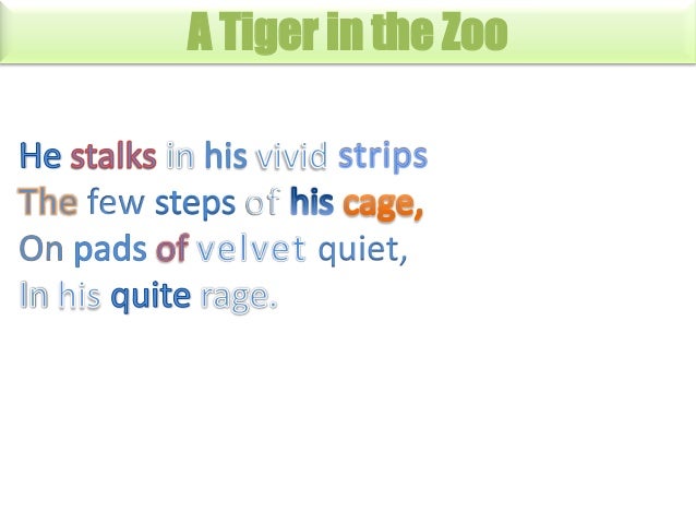 Do animals have language essays