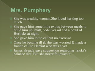 






She was wealthy woman.She loved her dog too
much.
She gave him some little extras between meals to
build him up, malt, cod-liver oil and a bowl of
Horlicks at night.
She gave him lot to eat but no exercise.
Once he became ill & she was worried & made a
frantic call to Harriot who was a vet.
James already gave suggestion regarding Tricki’s
balance diet. But she never followed it.

 