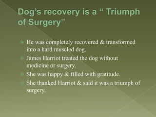 He was completely recovered & transformed
into a hard muscled dog.
 James Harriot treated the dog without
medicine or surgery.
 She was happy & filled with gratitude.
 She thanked Harriot & said it was a triumph of
surgery.


 