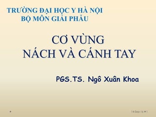 CƠ VÙNG
NÁCH VÀ CÁNH TAY
PGS.TS. Ngô Xuân Khoa
14-Sep-16 1
TRƯỜNG ĐẠI HỌC Y HÀ NỘI
BỘ MÔN GIẢI PHẪU
 