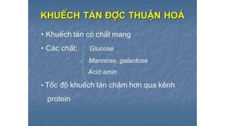 Trao đổi chất qua màng tế bào - ĐHYHN