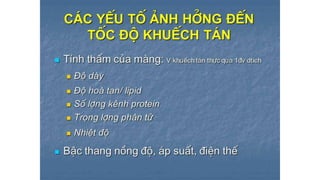 Trao đổi chất qua màng tế bào - ĐHYHN