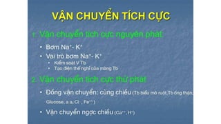 Trao đổi chất qua màng tế bào - ĐHYHN