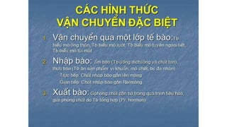Trao đổi chất qua màng tế bào - ĐHYHN