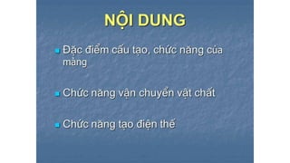 Trao đổi chất qua màng tế bào - ĐHYHN