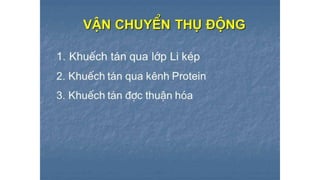 Trao đổi chất qua màng tế bào - ĐHYHN