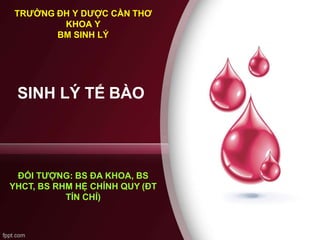 SINH LÝ TẾ BÀO
TRƯỜNG ĐH Y DƯỢC CẦN THƠ
KHOA Y
BM SINH LÝ
ĐỐI TƯỢNG: BS ĐA KHOA, BS
YHCT, BS RHM HỆ CHÍNH QUY (ĐT
TÍN CHỈ)
 