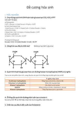 Đề cương hóa sinh
I. TRẮC NGHIỆM
1. Chọnđúng quá trìnhOXHhoàn toànglucosetạo CO2,H2O, ATP?
HÔ HẤP TẾ BÀO
a/ Đườngphân:
2 ATP + Glucose → 2 Acid Pyruvic+ 4 Hydro+ 4 ATP
b/ Hình thànhAcetyl CoA:
2 Acid Pyruvic+ 2 CoA → 2 Acetyl CoA + 2 Carbon Dioxide + 2 Hydro
c/ Chutrình Krebs:
2 Acetyl CoA + 3 O2 → 6 Hydro+ 4 CarbonDioxide + 2 ATP
d/ Chuỗi truyềnđiện tử:
12 Hydro+ 3 O2 → 6 nước + 32 ATP
Phươngtrìnhtổngquát:
Glucose + 6 O2 → 6 CarbonDioxide + 6 nước + 36 ATP
2. Côngthức sau đâylà chấtnào? Maltose tạo bởi 2 glucose
3. Quátrình thoáihóa glucosetheo con đườnghexose monophosphat (HMP)có ý nghĩa:
Tạo ra các sản phẩm hóa sinh, cung cấp cho các quá trình tổng hợp và phân giải của cơ thể
Ý nghĩa Hóa Sinh
Erythrose 4-phosphate Tổng hợp acid amino, vitamin B6
Ribulose 1,5-phosphate Nhận CO2 (quang hợp)
Ribose 5-phosphate Cấu thành acid nucleic
NADPH Năng lượng acid béo, cholesterol, steroid
Ribose-5-phosphate Tổng hợp base purin, pyrimidin
4. Ở hồng cầu quátrình đường phân luôn tạora lactatvì:
Ko có ty thể  ko thể tiếp nhận O2 dù trong điều kiện hiếu khí
5. Chấtnào sauđây là dẫn xuấtcủa Cholesterol:
 