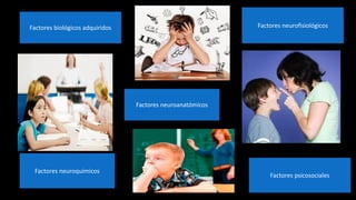 Factores biológicos adquiridos
Factores neuroanatómicos
Factores neuroquímicos
Factores neurofisiológicos
Factores psicosociales
 