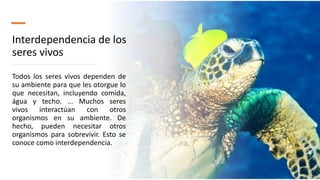 Interdependencia de los
seres vivos
Todos los seres vivos dependen de
su ambiente para que les otorgue lo
que necesitan, incluyendo comida,
água y techo. ... Muchos seres
vivos interactúan con otros
organismos en su ambiente. De
hecho, pueden necesitar otros
organismos para sobrevivir. Esto se
conoce como interdependencia.
 