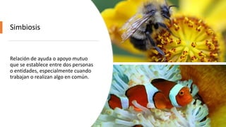 Simbiosis
Relación de ayuda o apoyo mutuo
que se establece entre dos personas
o entidades, especialmente cuando
trabajan o realizan algo en común.
 
