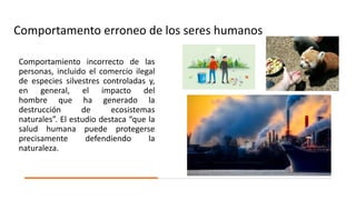 Comportamento erroneo de los seres humanos
Comportamiento incorrecto de las
personas, incluido el comercio ilegal
de especies silvestres controladas y,
en general, el impacto del
hombre que ha generado la
destrucción de ecosistemas
naturales”. El estudio destaca “que la
salud humana puede protegerse
precisamente defendiendo la
naturaleza.
 