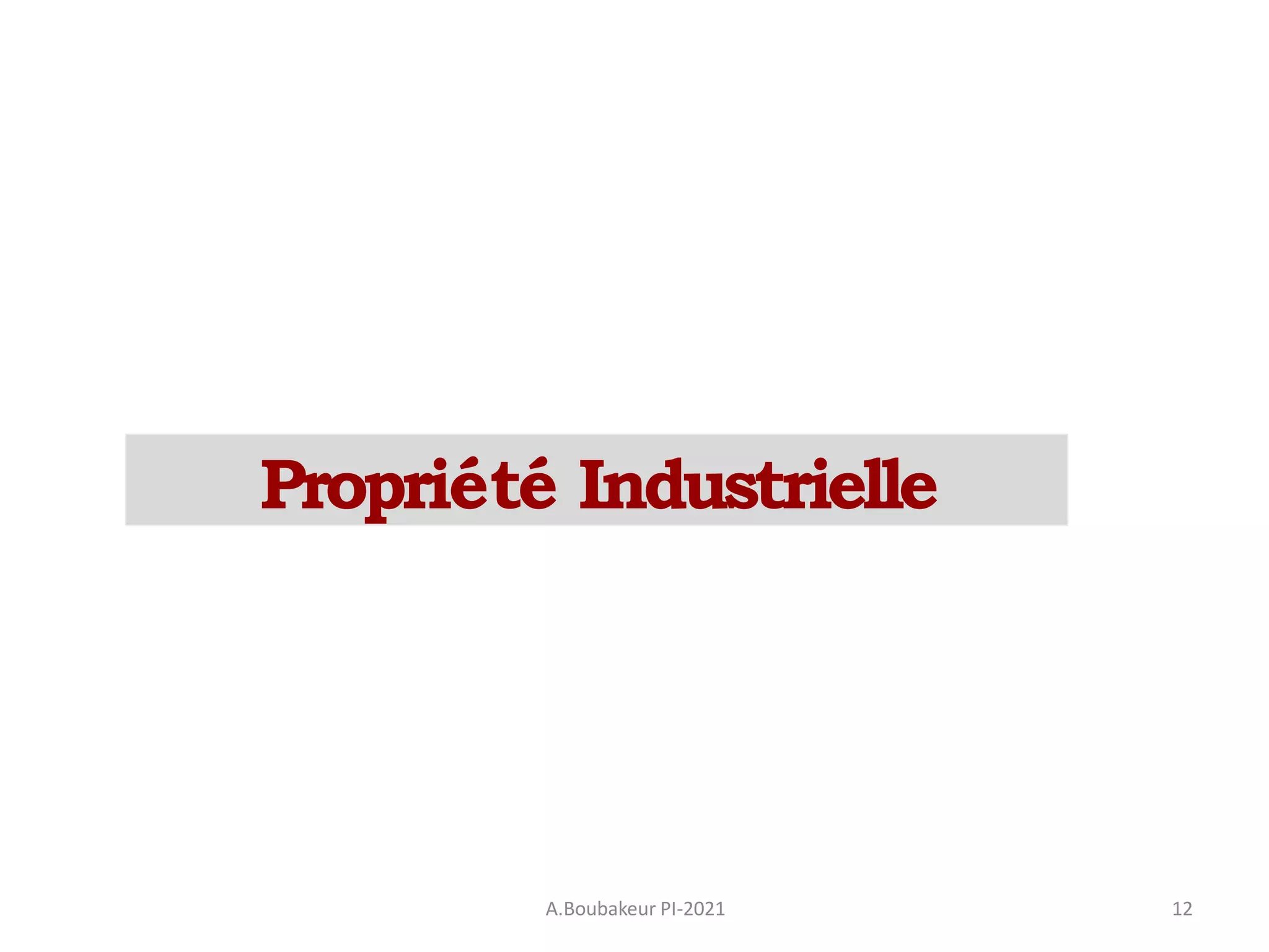 A.Boubakeur PI-2021 12
Propriété Industrielle
 