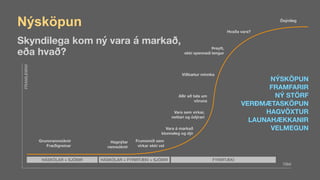 Grunnrannsóknir
Fræðigreinar
Hagnýtar  
rannsóknir
Frumsmíð sem 
virkar ekki vel
Vara á markað
klunnaleg og dýr
Vara sem virkar,  
nettari og ódýrari
Allir að tala um 
vöruna
Viðbætur minnka
Þreytt,  
ekki spennadi lengur
Hvaða vara?
Ósýnileg
Nýsköpun
Skyndilega kom ný vara á markað,  
eða hvað?
TÍMI
FRAMLEIÐNI
HÁSKÓLAR + SJÓÐIR HÁSKÓLAR + FYRIRTÆKI + SJÓÐIR FYRIRTÆKI
NÝSKÖPUN
FRAMFARIR 
NÝ STÖRF
VERÐMÆTASKÖPUN
HAGVÖXTUR
LAUNAHÆKKANIR
VELMEGUN
 