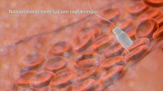 Nanoróbotar sem sjá um lagfæringar
 