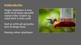 Kólibríáhri
fi
n
Þegar nýsköpun á einu
sviði til að leysa ákveðið
vanda hefur óvænt og
mikil áhrif á örðu sviði
Það er er
fi
tt að sjá þetta
fyrir til lengri tíma
Þannig virkar nýsköpun
 