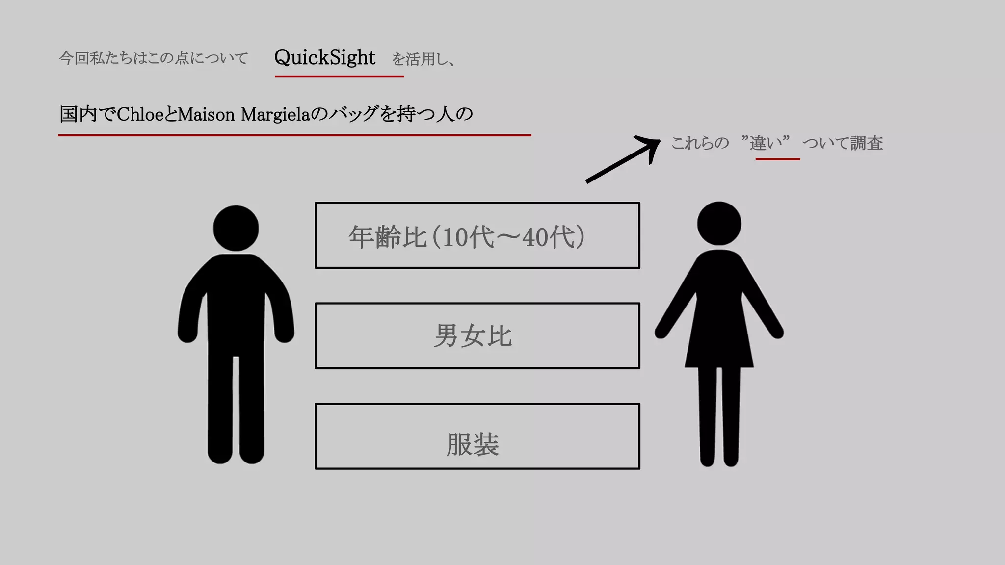 今回私たちはこの点について QuickSight を活用し、
国内でChloeとMaison Margielaのバッグを持つ人の
年齢比（10代〜40代）
男女比
服装
← これらの ”違い” ついて調査
 
