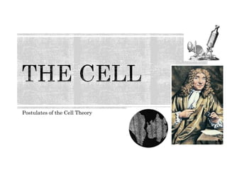 Postulates of the Cell Theory
 