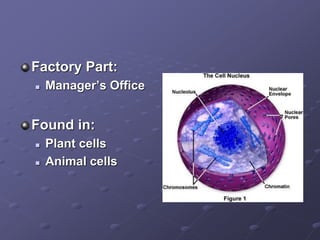 A.1 Postulates of the Cell Theory.ppt