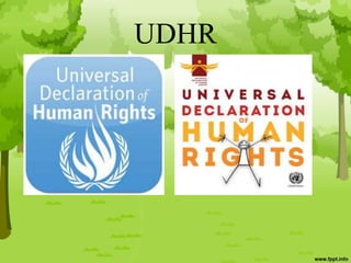 UDHR
 