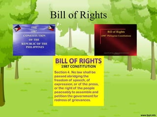 Bill of Rights
 