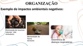 ORGANIZAÇÃO
Exemplo de impactos ambientais negativos:
Diminuição de recursos
naturais não
renováveis
Ocorrência de
doenças respiratórias
Mortandade da
fauna
terrestre
 