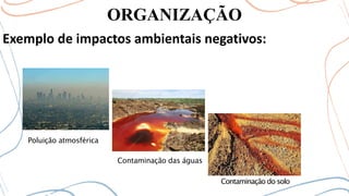 ORGANIZAÇÃO
Exemplo de impactos ambientais negativos:
Poluição atmosférica
Contaminação das águas
Contaminação do solo
 
