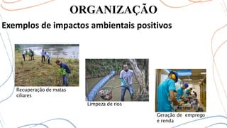 ORGANIZAÇÃO
Exemplos de impactos ambientais positivos
Recuperação de matas
ciliares
Limpeza de rios
Geração de emprego
e renda
 