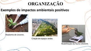 ORGANIZAÇÃO
Exemplos de impactos ambientais positivos
Replantio de árvores
Criação de espaços verdes
Reabilitação da fauna silvestre
 