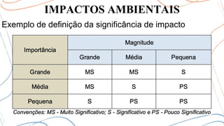 IMPACTOS AMBIENTAIS
Exemplo de definição da significância de impacto
 